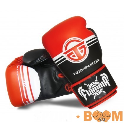 Перчатки боксерские FlammaTERMINATOR 2.0