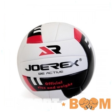 Мяч в/б Joerex p.5