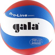 Мяч в/б Gala PRO-LINE 10 FIVB р.5