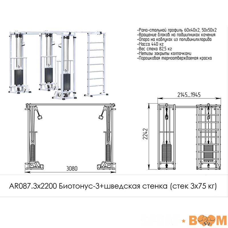 Блочная стойка Биотонус-3 + шведская стенка (стек 3х75 кг.) 2200