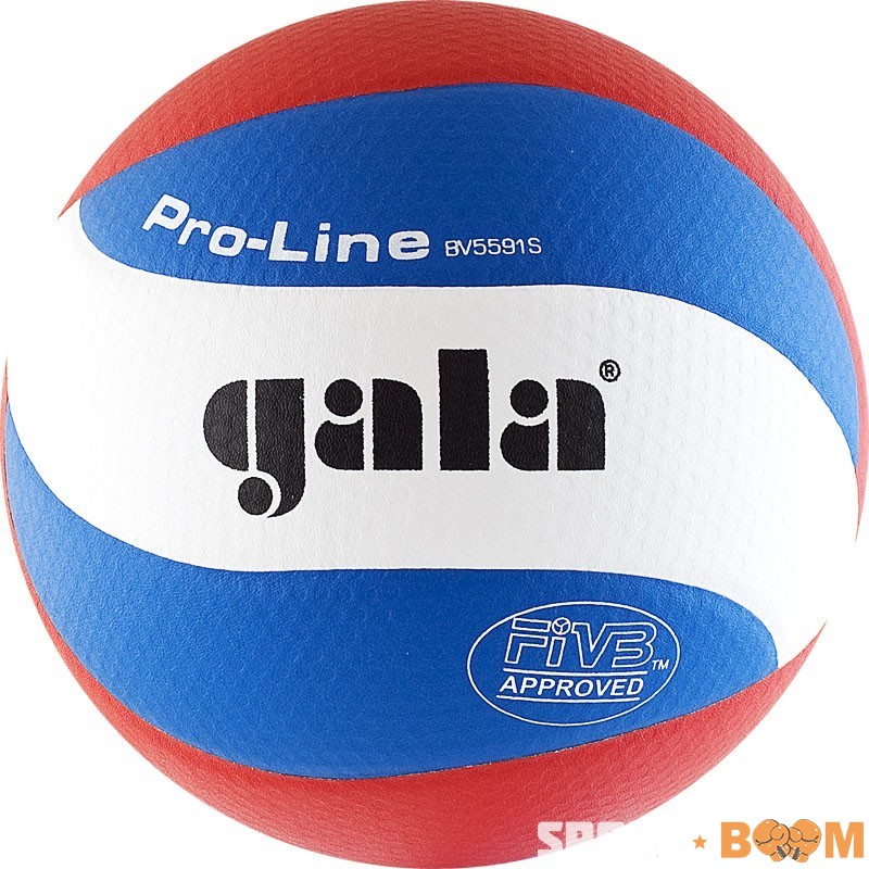 Мяч в/б Gala PRO-LINE 10 FIVB р.5