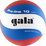 Мяч в/б Gala PRO-LINE 10 р.5 