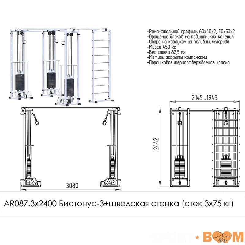 Блочная стойка Биотонус-3 + шведская стенка (стек 3х75 кг.) 2400