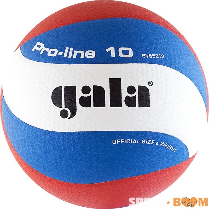 Мяч в/б Gala PRO-LINE 10 р.5