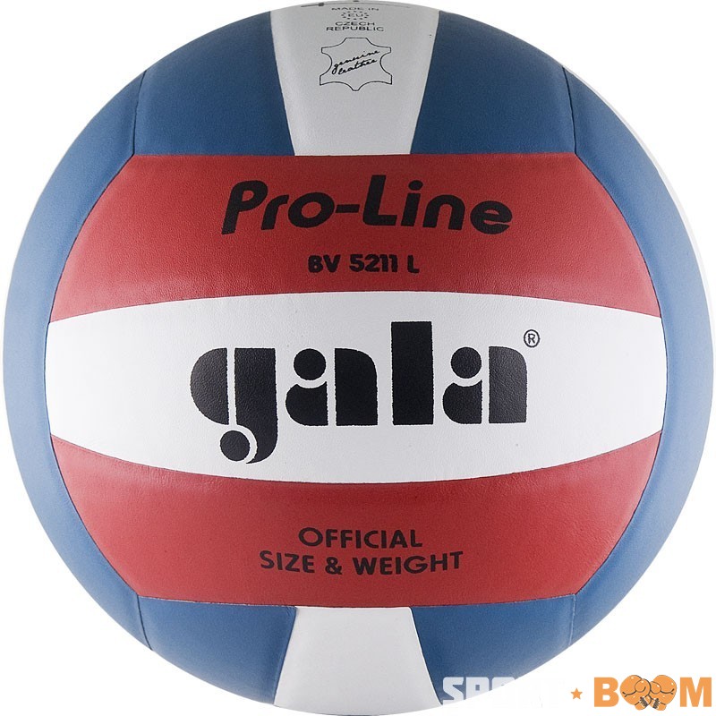 Мяч в/б Gala PRO-LINE COLOUR р.5