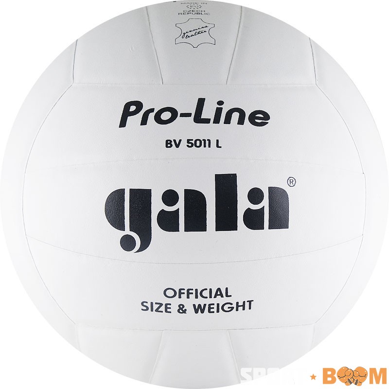 Мяч в/б Gala PRO-LINE COMPETITION р.5